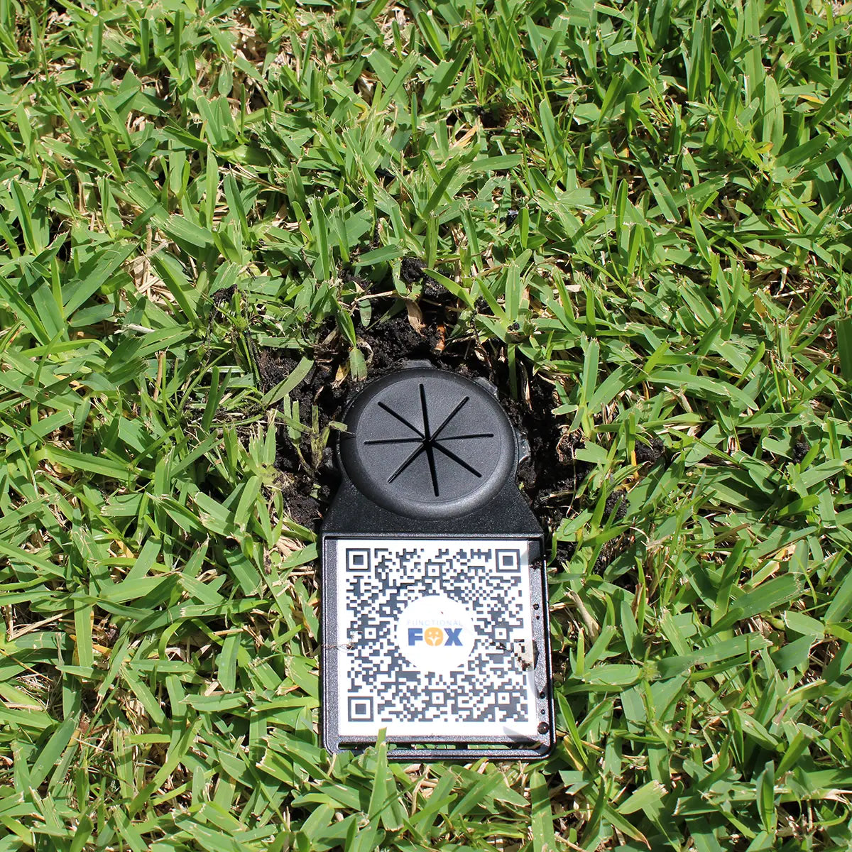 Digital Time Capsule Kit